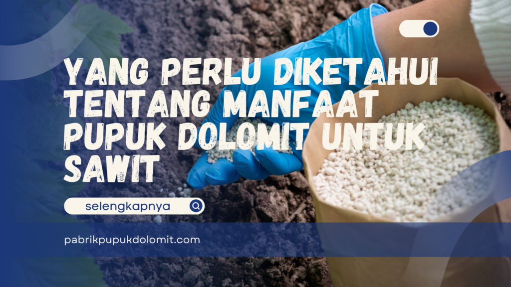 Yang Perlu Diketahui tentang Manfaat Pupuk Dolomit untuk Sawit