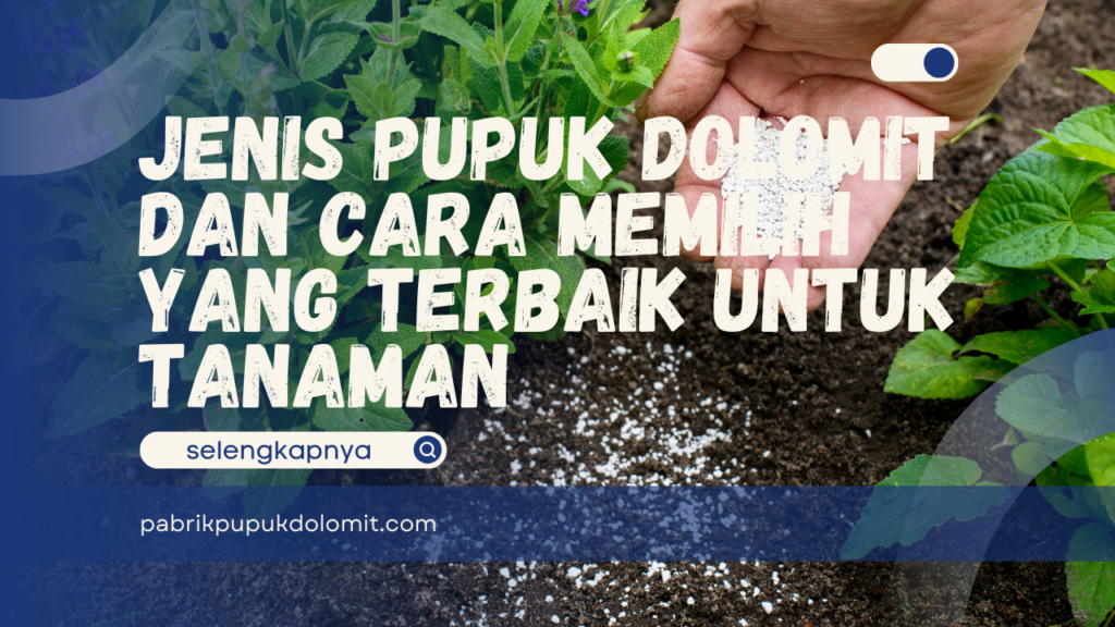 Jenis Pupuk Dolomit dan Cara Memilih yang Terbaik untuk Tanaman