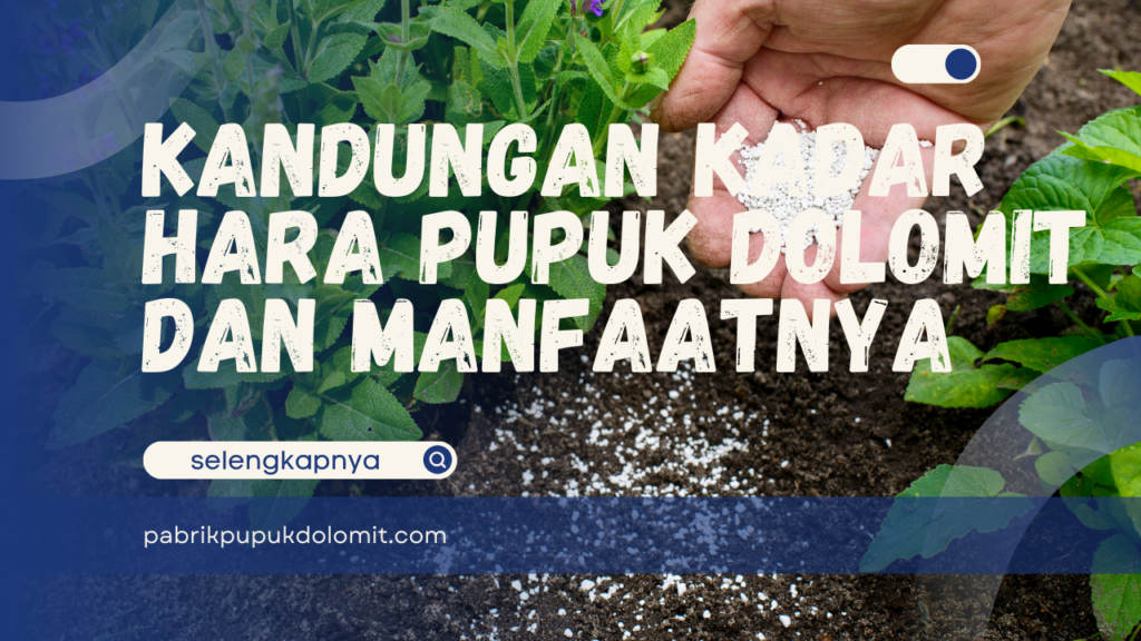 Kandungan Kadar Hara Pupuk Dolomit dan Manfaatnya