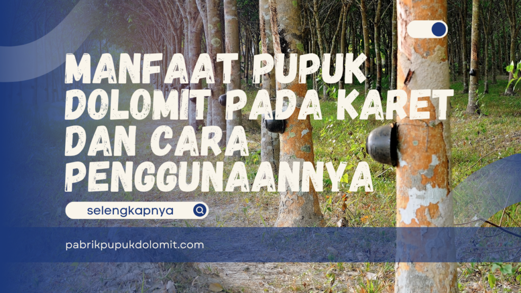 Manfaat Pupuk Dolomit pada Karet dan Cara Penggunaannya