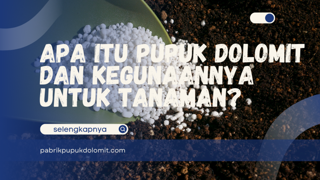 Apa itu Pupuk Dolomit dan Kegunaannya untuk Tanaman?