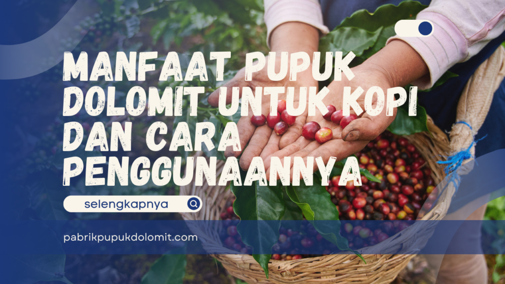 Manfaat Pupuk Dolomit untuk Kopi dan Cara Penggunaannya