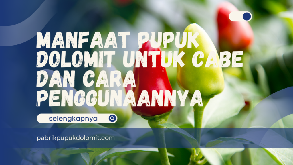 Manfaat Pupuk Dolomit untuk Cabe dan Cara Penggunaannya