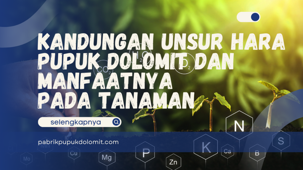 Kandungan Unsur Hara Pupuk Dolomit dan Manfaatnya pada Tanaman