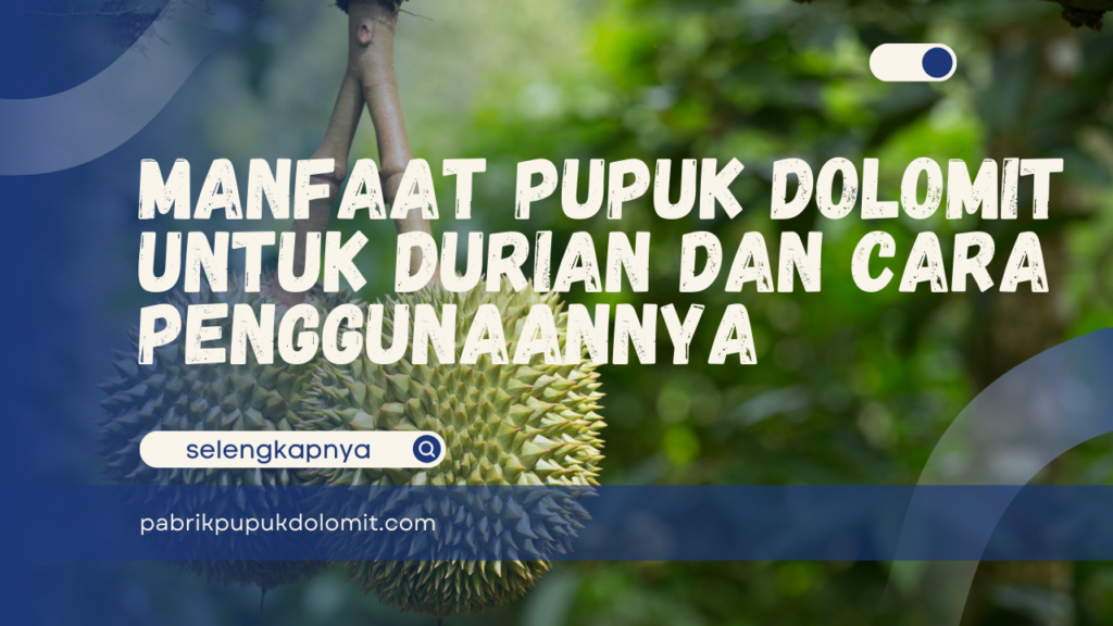 Manfaat Pupuk Dolomit untuk Durian dan Cara Penggunaannya