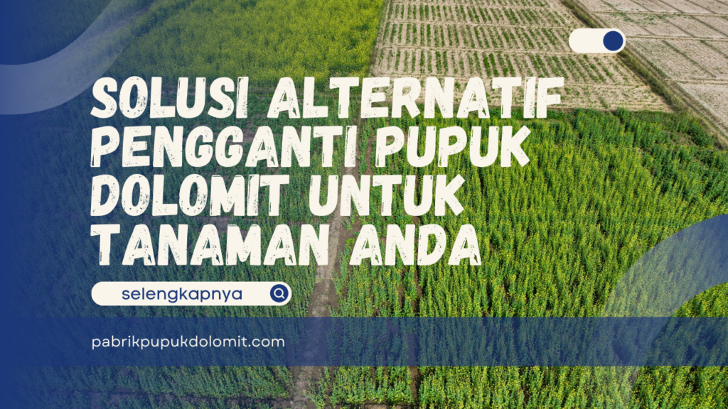 Solusi Alternatif Pengganti Pupuk Dolomit untuk Tanaman Anda