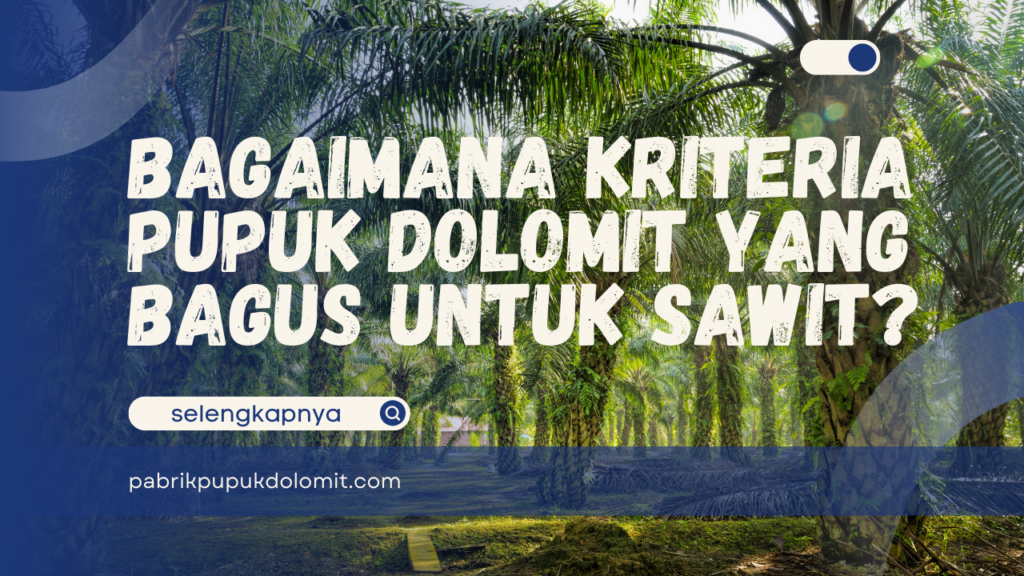 Bagaimana Kriteria Pupuk Dolomit yang Bagus untuk Sawit?