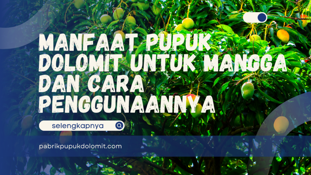 Manfaat Pupuk Dolomit untuk Mangga dan Cara Penggunaannya