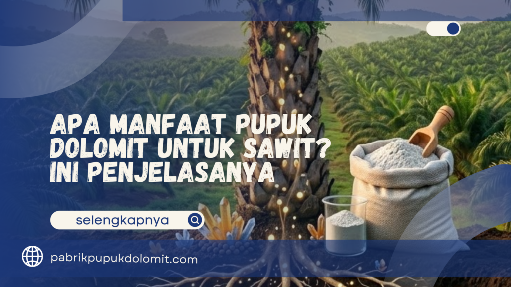 apa manfaat pupuk dolimit untuk sawit