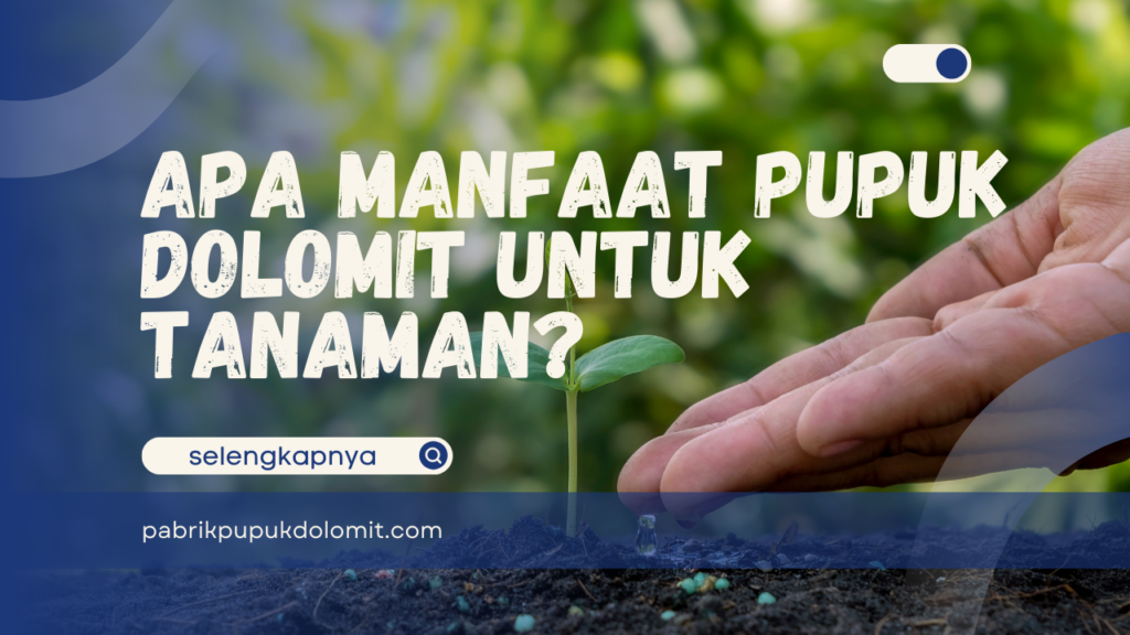 Apa Manfaat Pupuk Dolomit untuk Tanaman?