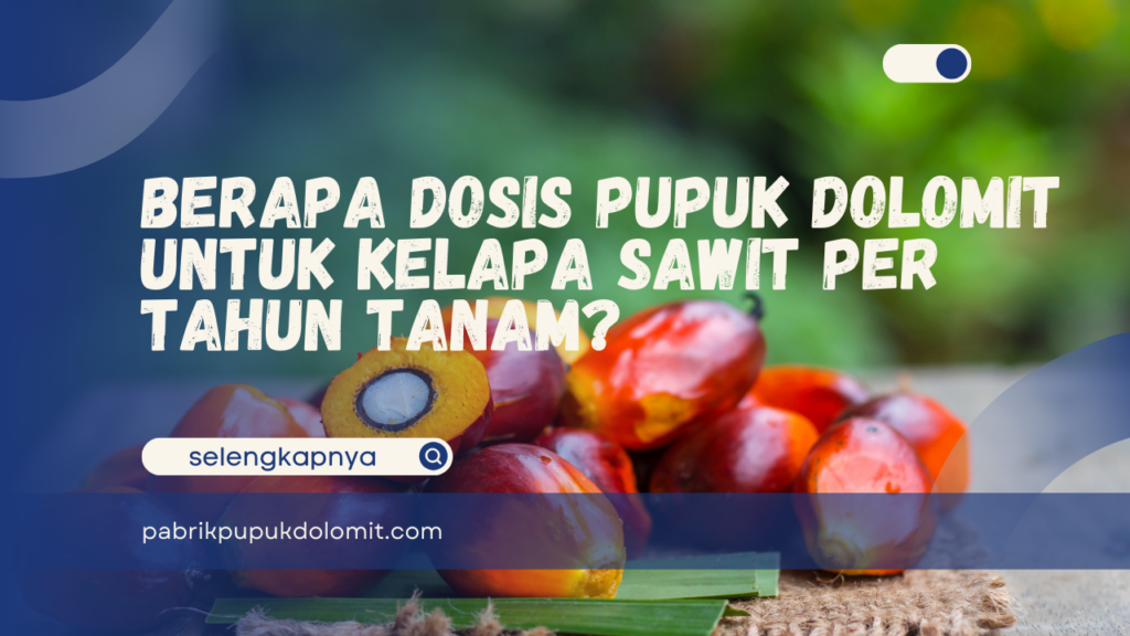Berapa Dosis Pupuk Dolomit untuk Kelapa Sawit per Tahun Tanam?