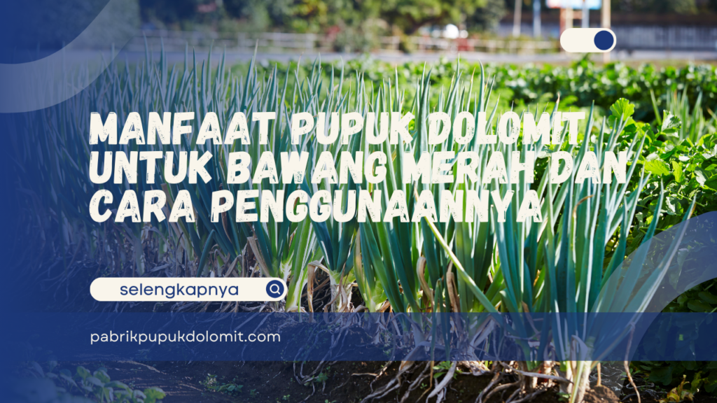 Manfaat Pupuk Dolomit untuk Bawang Merah dan Cara Penggunaannya