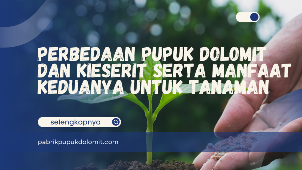 Perbedaan Pupuk Dolomit dan Kieserit serta Manfaat Keduanya untuk Tanaman