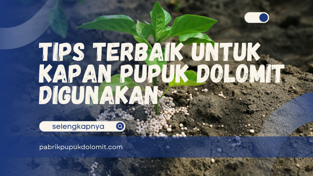 Tips Terbaik untuk Kapan Pupuk Dolomit Digunakan