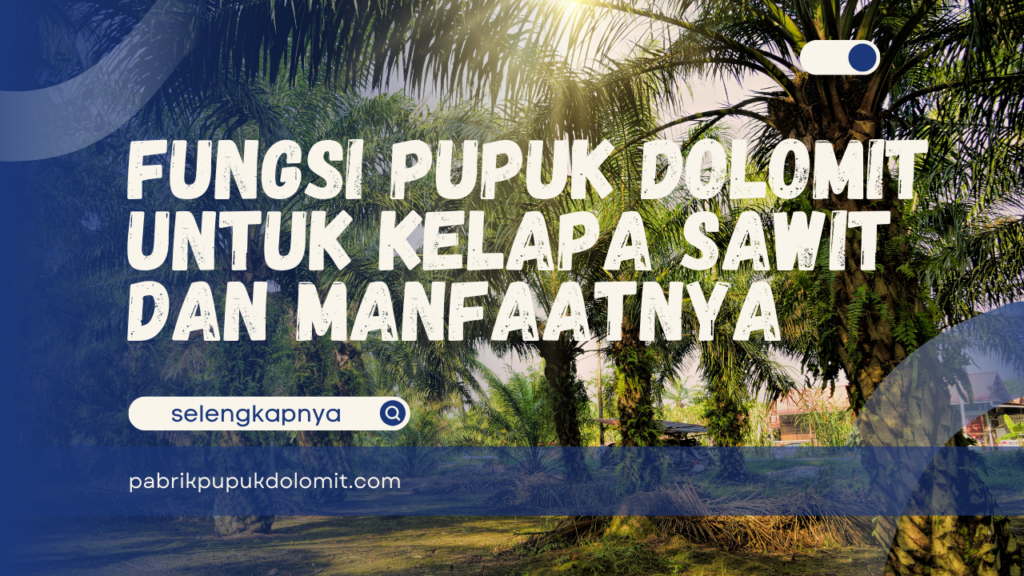Fungsi Pupuk Dolomit untuk Kelapa Sawit dan Manfaatnya