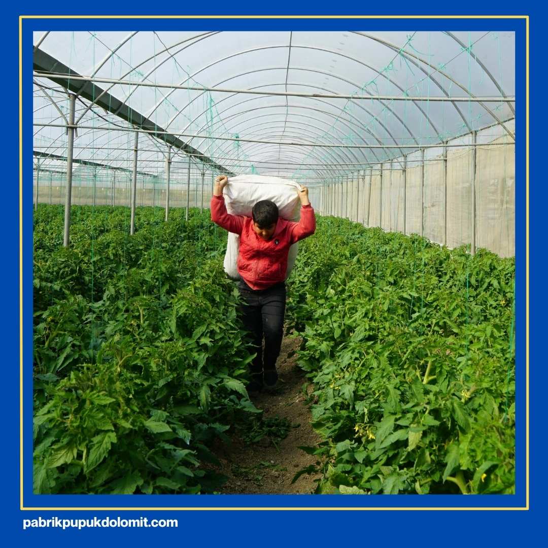 Cara Menghitung Kebutuhan Dolomit