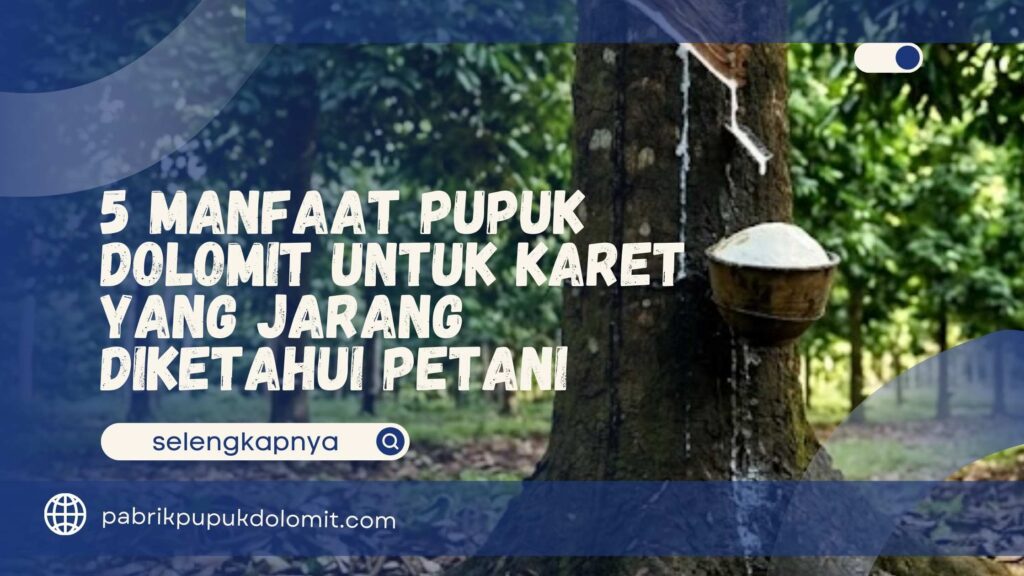 Manfaat Pupuk Dolomit untuk Karet