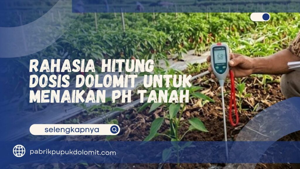 Dosis Dolomit untuk Menaikan pH Tanah