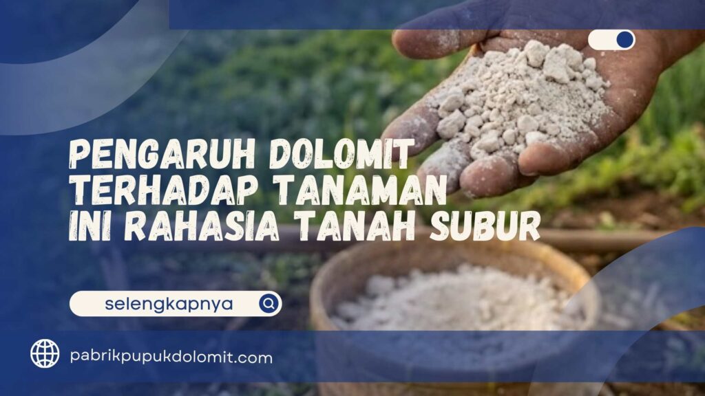 Pengaruh Dolomit terhadap Tanaman