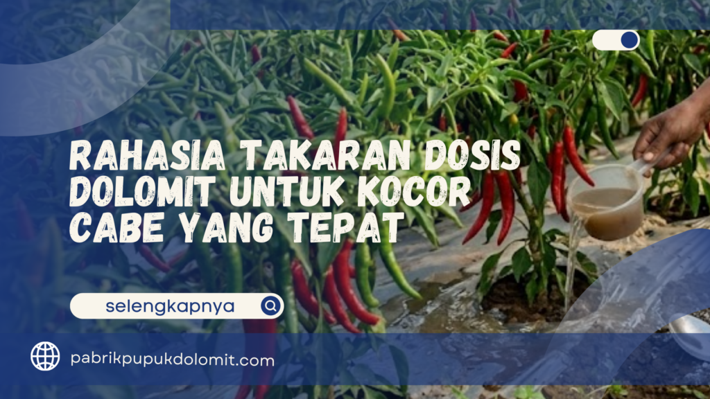 Dosis Dolomit untuk Kocor Cabe
