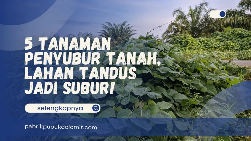 Tanaman Penyubur Tanah