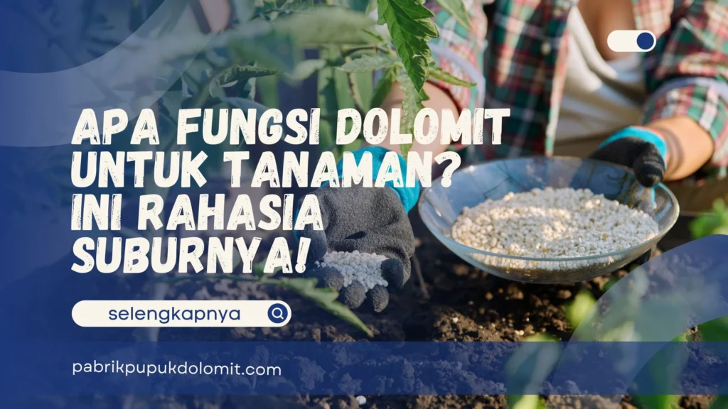 Apa Fungsi Dolomit untuk Tanaman