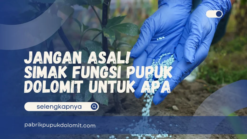 Pupuk Dolomit untuk Apa