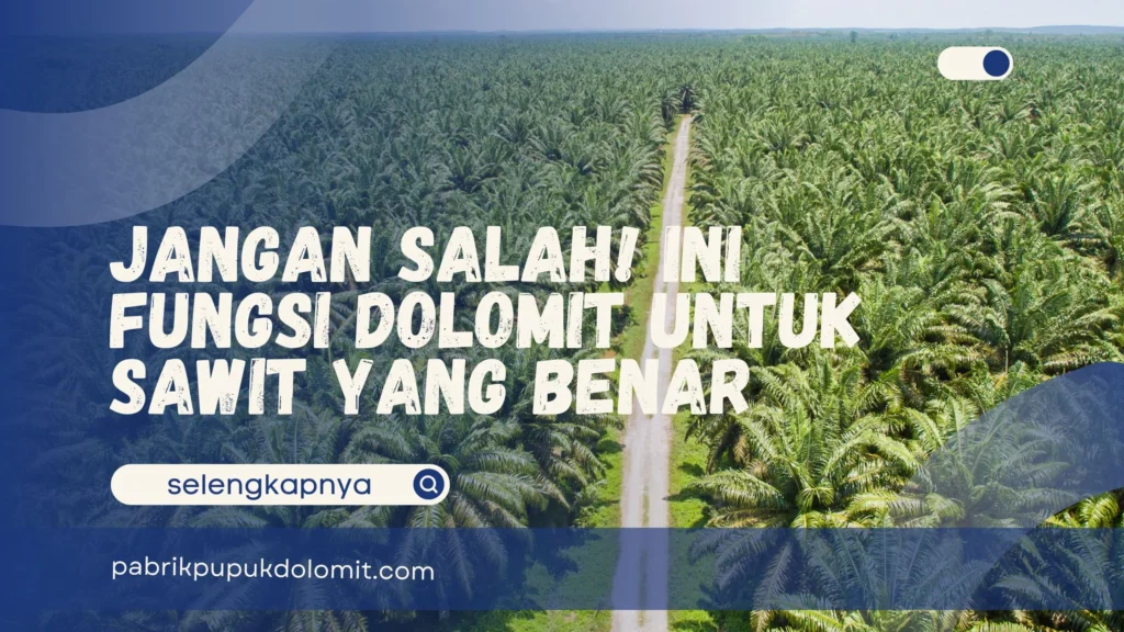 Fungsi Dolomit untuk Sawit
