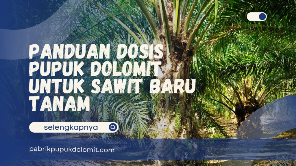Dosis Pupuk Dolomit untuk Sawit Baru Tanam