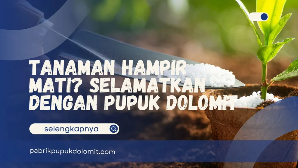 Pupuk Dolomit