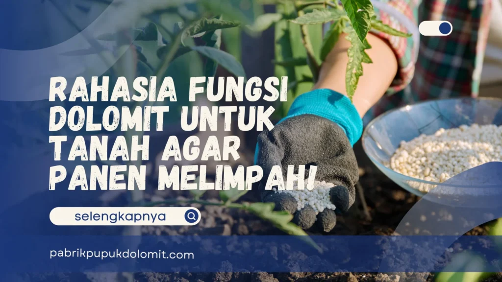 Fungsi dolomit untuk Tanah