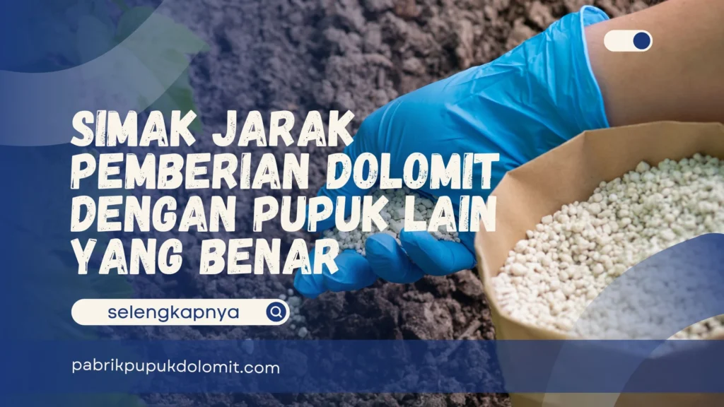 Jarak Pemberian Dolomit dengan Pupuk Lain