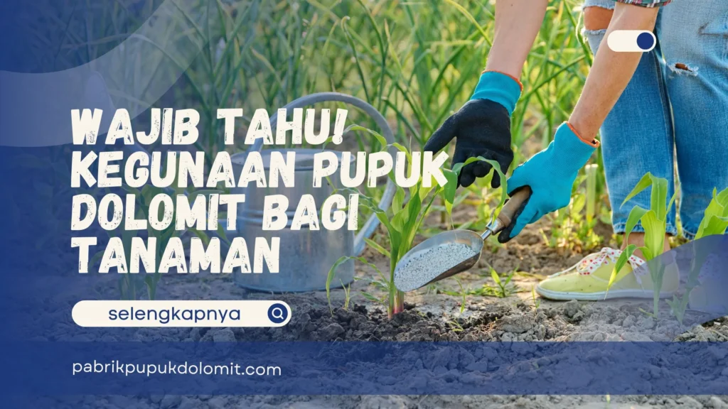Kegunaan Pupuk Dolomit