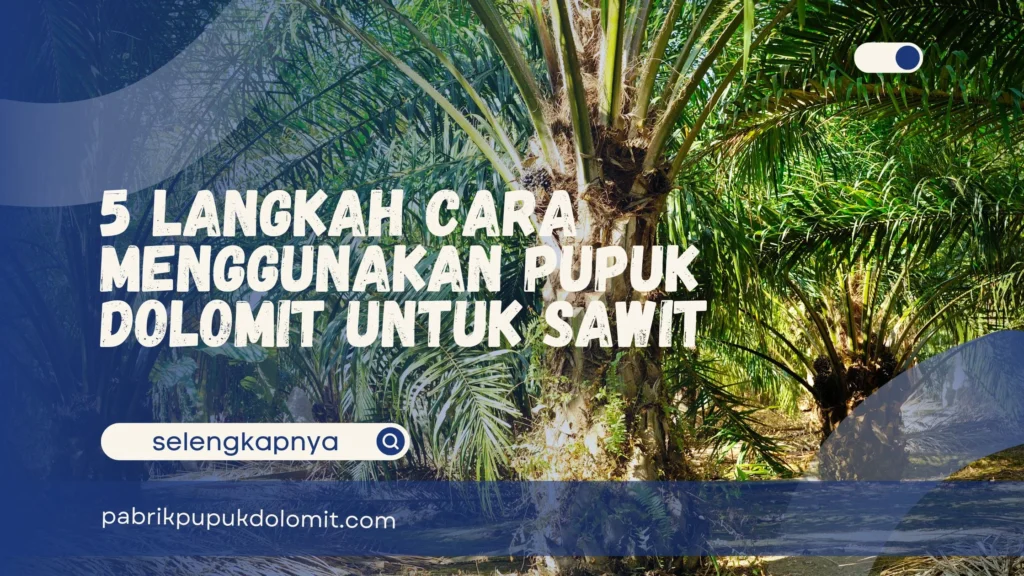Cara Menggunakan Pupuk Dolomit untuk Sawit