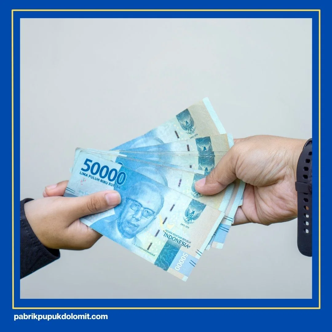 Dolomit untuk Tanaman Padi