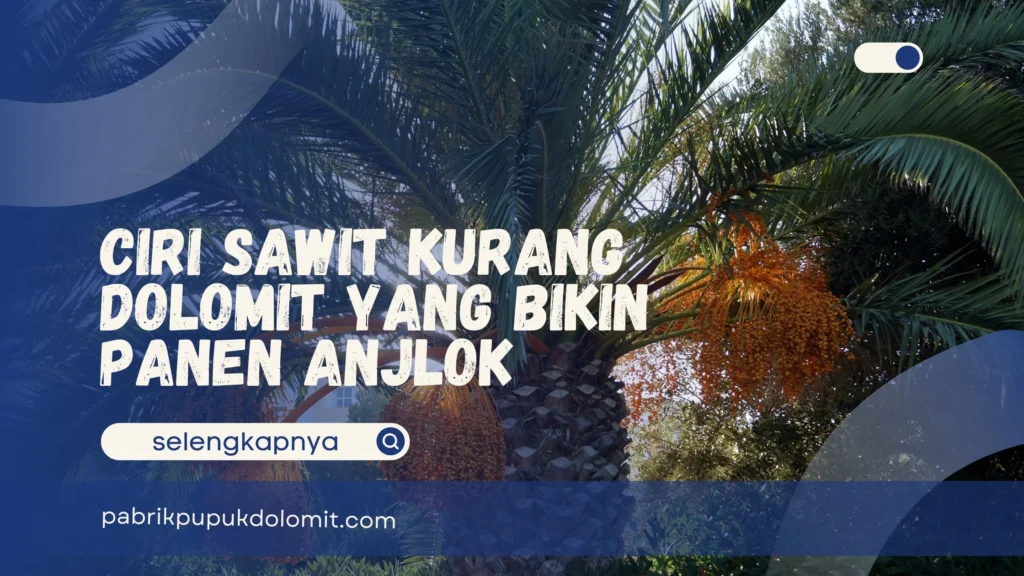 Ciri Sawit Kurang Dolomit