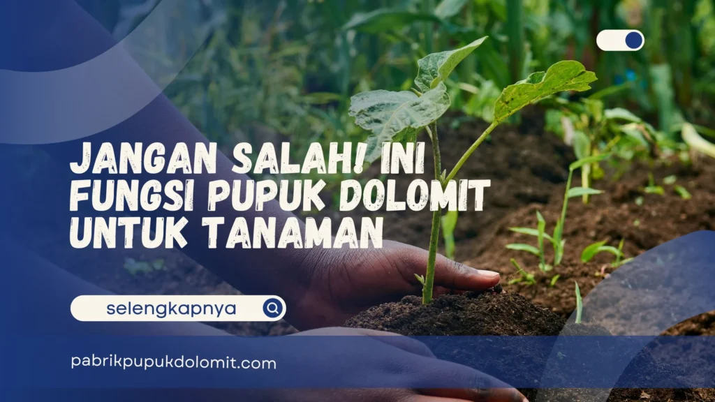 Fungsi Pupuk Dolomit untuk Tanaman