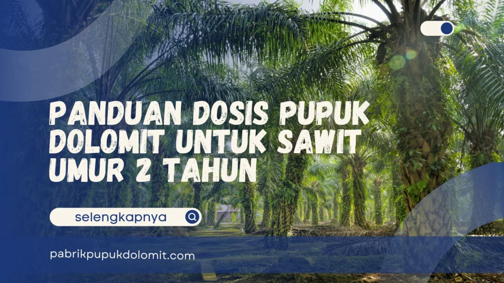 Dosis Pupuk Dolomit untuk Sawit Umur 2 Tahun