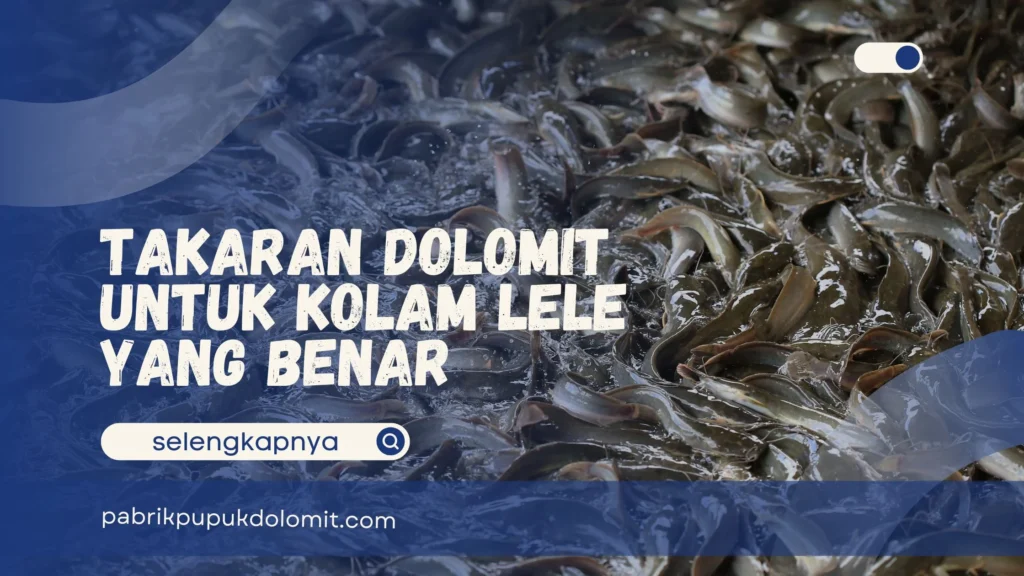 Takaran Dolomit untuk Kolam Lele