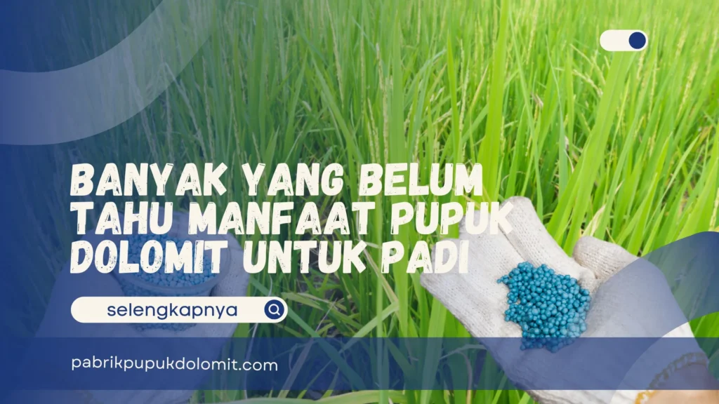 Manfaat Pupuk Dolomit untuk Padi