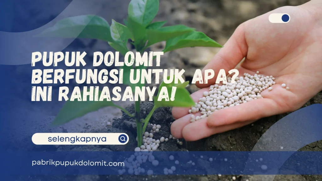 Pupuk Dolomit Berfungsi untuk Apa