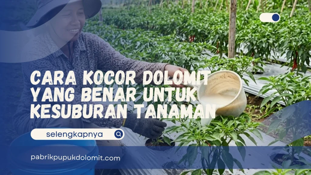 Kocor Dolomit