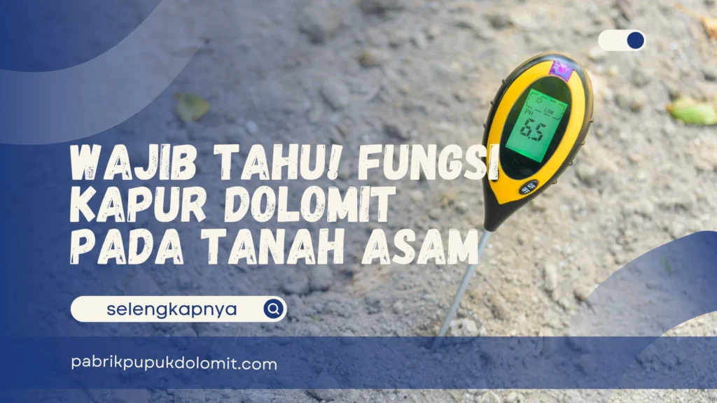 Fungsi Kapur Dolomit pada Tanah Asam