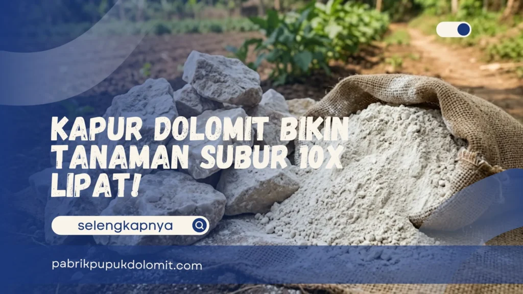 Kapur Dolomit