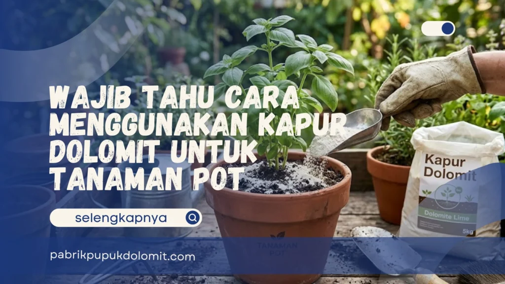 Kapur Dolomit untuk Tanaman Pot