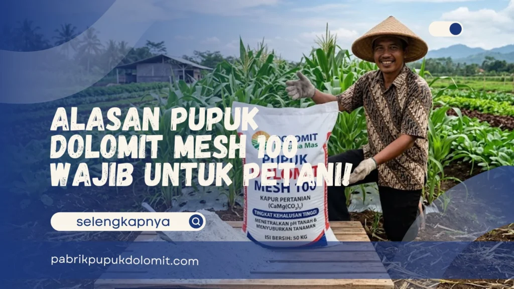 Pupuk Dolomit Mesh 100