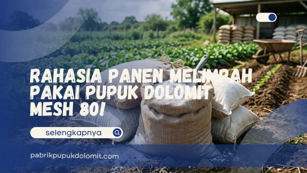 Pupuk Dolomit Mesh 80