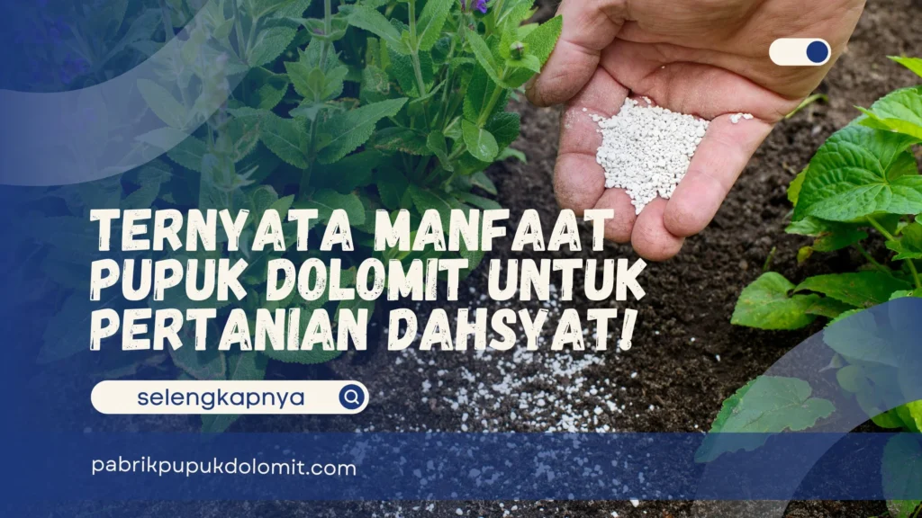 Manfaat Pupuk Dolomit untuk Pertanian