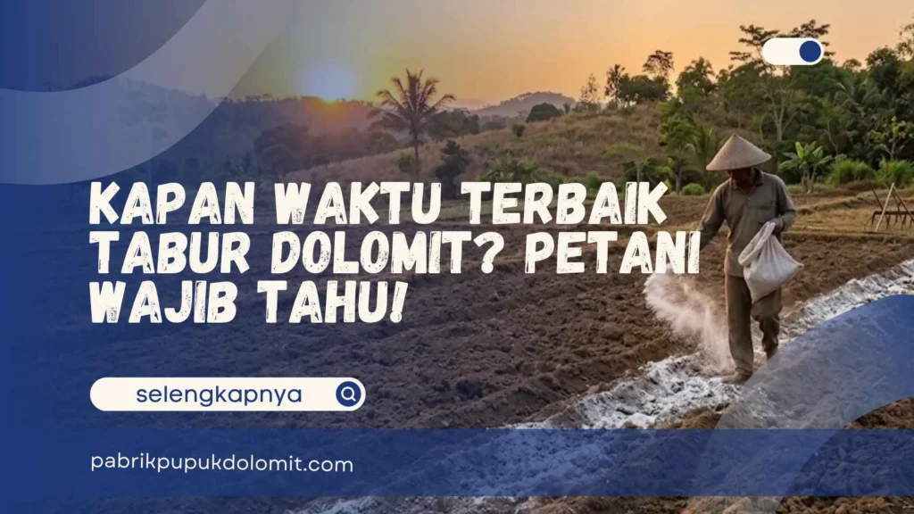 Kapan Waktu Terbaik Tabur Dolomit