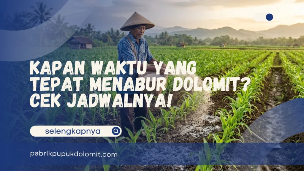 Kapan Waktu yang Tepat Menabur Dolomit
